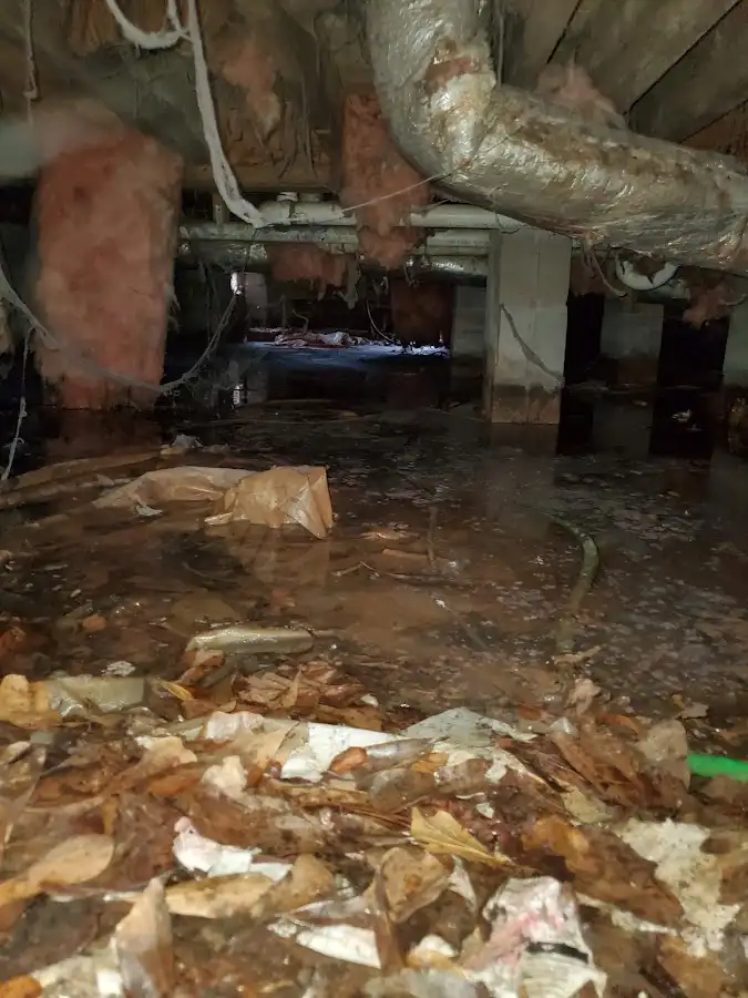 Crawl space flood assessment for Leak Detection & Repair in Prairie View